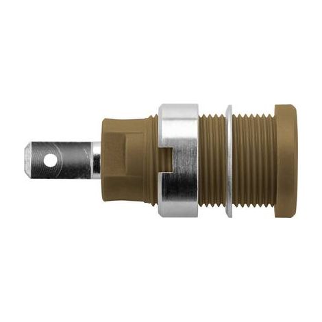Schützinger DI SEB 6450 Ni / BR Prise encastrée de sécurité marron 1 pc(s) Y156682 (1/2)