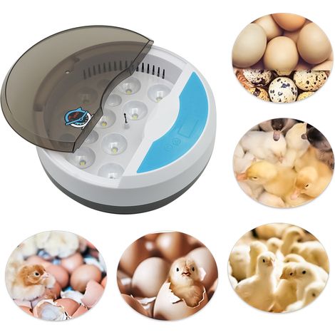 Couveuse Oeuf Automatique - Incubateur Oeuf Poule 9 Oeufs avec contrôle de la température - idéal pour pour Volaille Caille Oie-DELKEVIC (1/5)