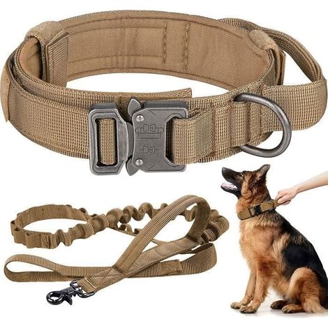 Collier de Chien - AUTREMENT - Tactique Réglable - Nylon Haute Résistance - Boucle en Métal - Kaki (1/4)