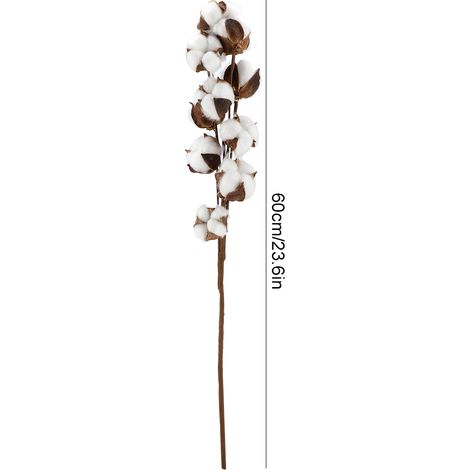 Stück 10 Kapseln natürlicher Baumwollstängel Kapok Trockenblumen 60 cm für Hochzeitsfeiern und Heimdekoration (1/5)