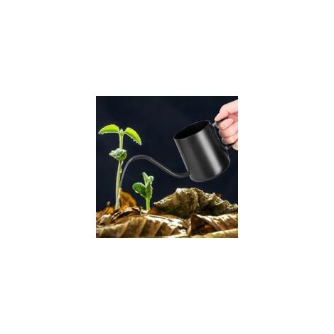 Schwarze Gießkanne (250 ml) – Kleine Gießkanne für Zimmerpflanzen – Edelstahl – Langer Ausguss – Gartengießkanne für Pflanzen - Crezuo (1/4)