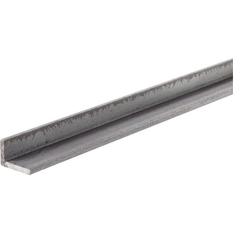 ANG. L FERRO MM.30X20X4 MT.1
