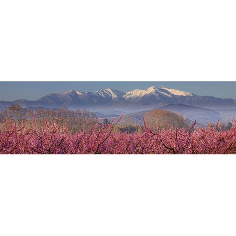 Tableau sur toile le Canigou eneigé 30x97 cm - Impression sur Toile Murale Décorative - Image imprimée en HD sur Toile - Toile sur Châssis en Bois FSC - Fabriqué en France (1/4)
