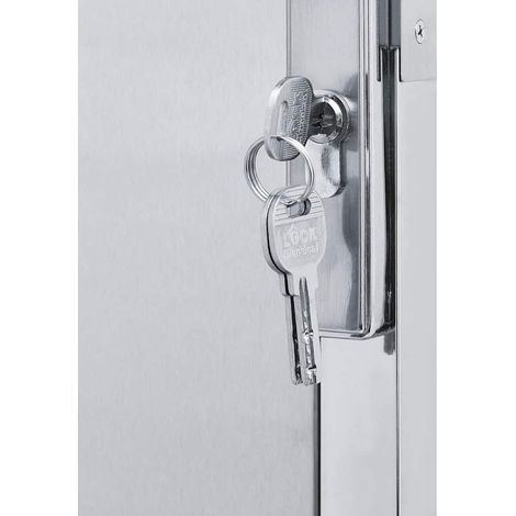 Maison Exclusive - Puerta de jardín Plateado 85 x 70 cm Acero inoxidable (1/5)