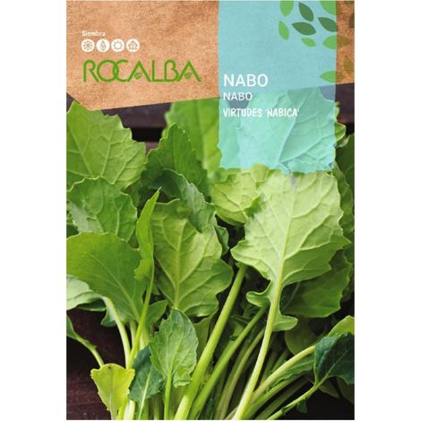 Rokalba Seeds Turnip Tugenden "NabiÐ´Ð—a" 25 g, Pack 5x
