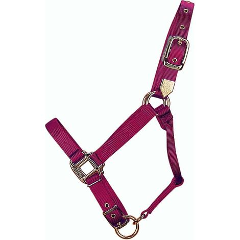 1 Halter Cheval En Nylon Réglable 2,5 Cm Pour Équitation Et Soins