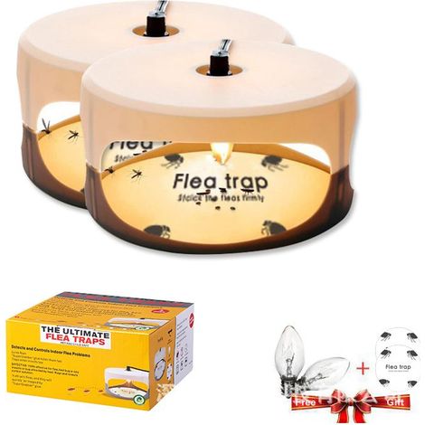QAZQA Piège à puces Sticky dôme avec 2 Sticky Discs. sans Odeur, Non Toxique, Naturel, pièges à Insectes, sûr pour Une Utilisation en intérieur, Les Enfants et Les Animaux Lot de 2
