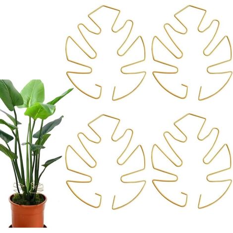 Supporto per piante rampicanti Monstera, set da 4, oro, ideale per piante rampicanti. (1/4)