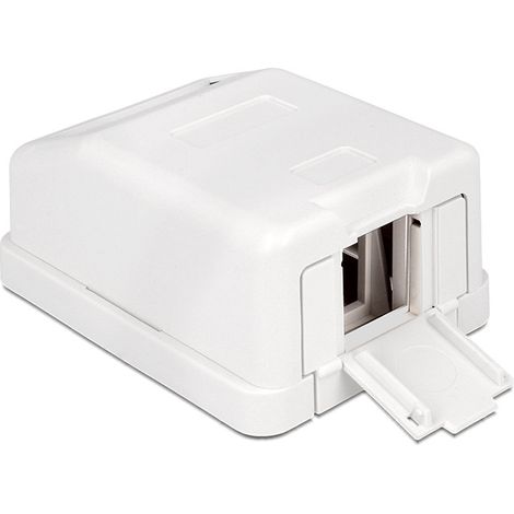 Boîtier d'insertion modulaire - DELOCK - Surface Mounted Box - Blanc - 1 port - Rectangulaire