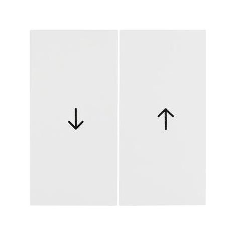 Berker Wippe pws/gl Symbol Pfeil 16258989 (1/5)
