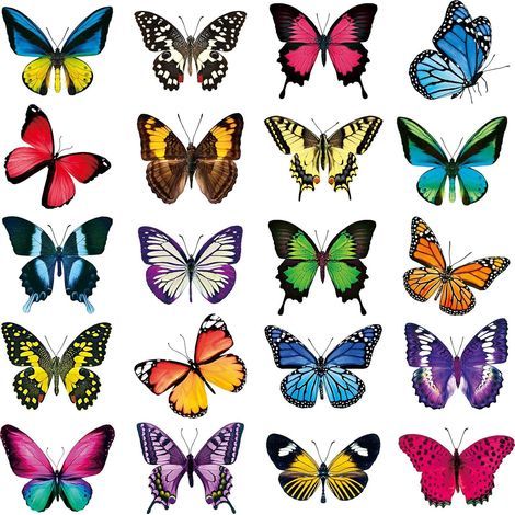 Autocollants anti-collision pour fenêtre papillon de grande taille pour éviter les impacts d'oiseaux sur le verre de la fenêtre Autocollants papillon en vinyle non adhésif (40) (1/5)