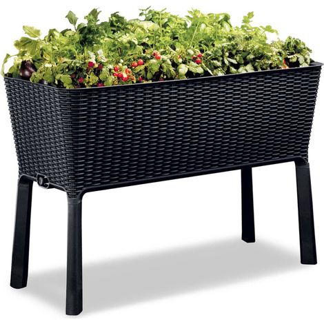 Keter Easy Growing vaso da giardino antracite 120 litri (1/5)
