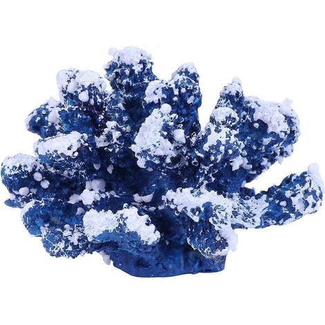 Accessoires pour aquarium, accessoires pour aquarium près de chez moi, liste d'accessoires pour aquarium, aquarium, décorations pour aquarium, bois flotté, articles de décoration pour aquarium (1/5)