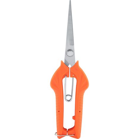 Sécateur tête droite allongée – acier inoxydable – cueillette fruits – jardinage