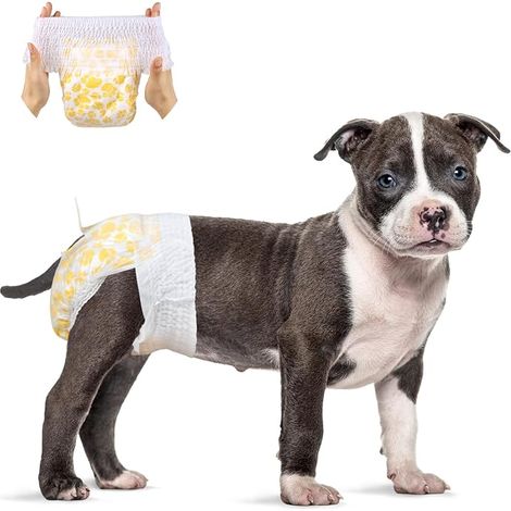 Couches Chienne Femelle, Jetables Taille L (30-50cm), Culottes Chaleur 360° avec Ceinture Extensible, Absorbantes pour Incontinence, Convient Aussi Chats (1/5)