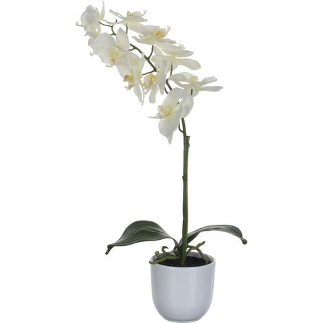 Mica Kunstpflanze Phalaenopsis im Topf weiß, 60 x 16 cm Kunstpflanzen