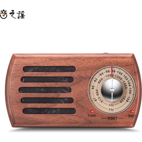 Radio FM numérique AM Mini Radio Internet Radio FM AM portable Radio