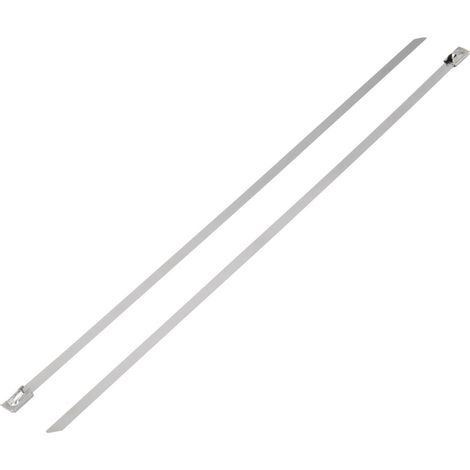 Serre-câble 300 mm x 4.60 mm argent TRU COMPONENTS TC-BST-300203 1592827 crantage intérieur 1 pc(s)