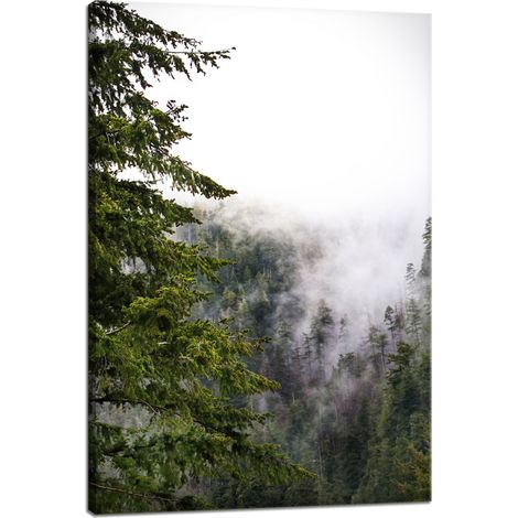 Leinwanddruck Natur Berge Nebelwald 40x60 cm