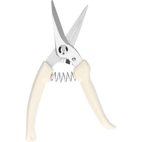Ciseaux de fleuriste, inox, pour branches et taille de plantes (1/5)