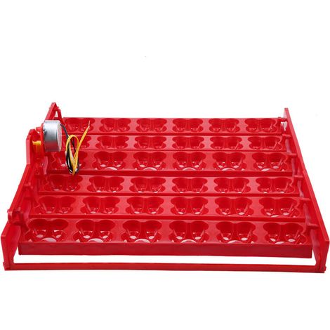 36 Eier/144 Vogeleier Brutapparat mit automatischem Eierdrehteller (220V Motor).