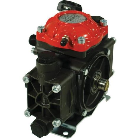 Pumpe AR 252 SP SGC BlueFlex ANNOVI REVERBERI 16281AR (1/3)