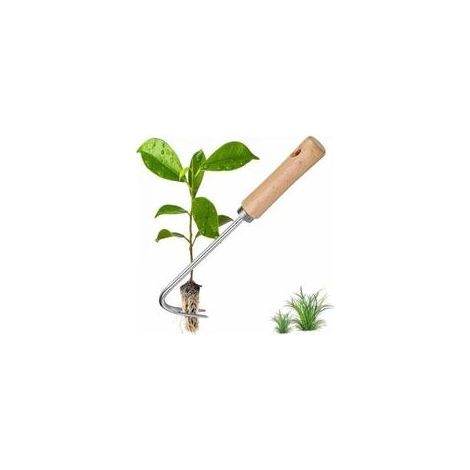 Désherbeur manuel en acier inoxydable avec poignée en bois – Outil de jardinage efficace pour arracher les mauvaises herbes sans effort (1/5)
