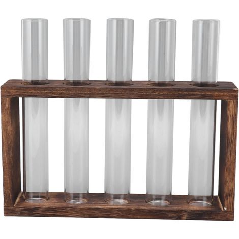 Kit Terrarium Plantes 5 Tubes Transparents avec Support en Bois pour Observer la Croissance, Propagation Herbes, Couleur Carbone (1/5)