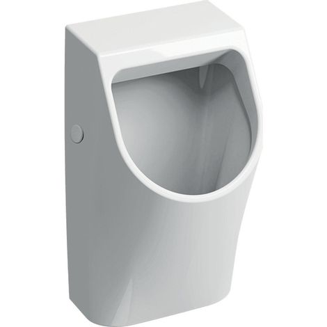 Geberit 300 urinoir 90 32,5x30cm avec arrivée arrière blanc