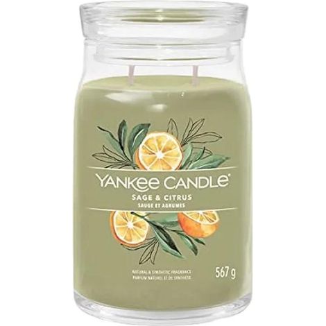 Yankee Candle Salbei & Zitrus Duftkerze hellgrün