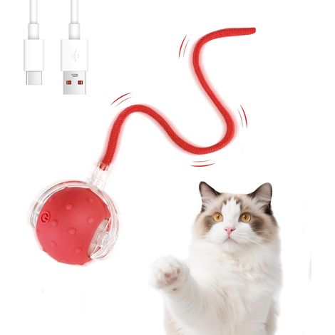Balle de Jouet Interactif pour Chat avec Corde (1/5)