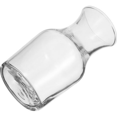 Pitcher for Serving Wine and Spirits Single Glass Decanter (1/5)