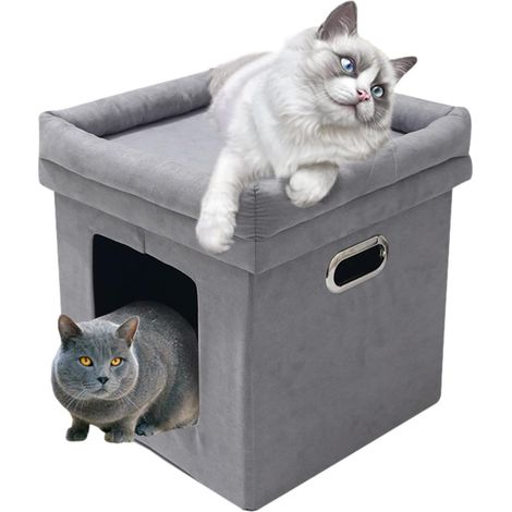pour chat dappartement maison couverte pour chat Appartement (1/5)