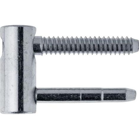 ESCEPA 2PCCS. 3d. Con porta, acciaio inossidabile. Carenti NB zincate Ø 16. Peso della porta 100 kg (di 10)
