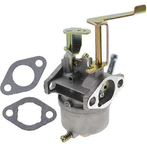 Ersatzvergaser für Generatoren, kompatibel mit Motor 2R01001S16. Robuste Metallkonstruktion und stabiler Leerlauf. (1/3)