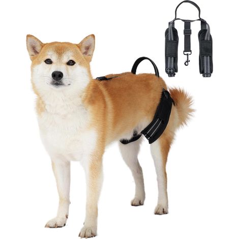 Harnais de levage pour chiens pour jambes arrières, assistance avec poignée Harnais réglable pour chiens (1/5)