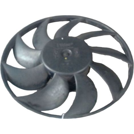 Moteur Ventilateur Radiateur RENAULT Master (1/3)