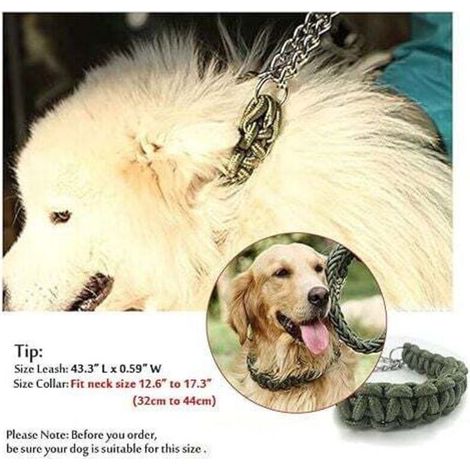 Laisses pour colliers et laisses pour chiens durables, laisse réglable en nylon tressé