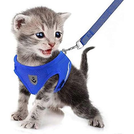(Bleu) Sangle de promenade en cuir pour chat et chien, sangle de gilet souple et réglable anti-détachement, style XL avec corde de traction respirante (1/5)