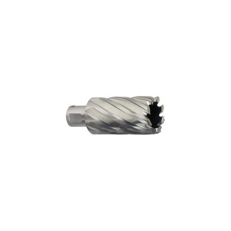 Punta corona Milwaukee 20x30mm lunga durata efficienza (1/3)