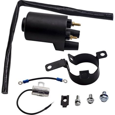 Bobine d'allumage pour Moteur pour onan P218G Remplacement 541-0522 166-0820 166-0772 Pièce Métallique pour Générateur (1/5)