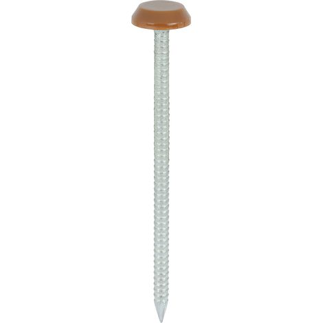 TIMCO Polymer Headed Nails A4 Stainless Steel Clay Brown - 65mm