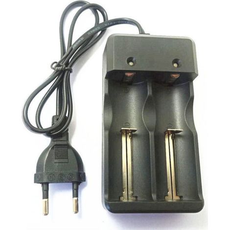 Chargeur Batterie Lithium - 26650 18650 14500 - Double Emplacement Bidirectionnel - 4,2 V - 500 mA / 1000 mA Sélectable - Entrée 100-240 V CA (1/4)