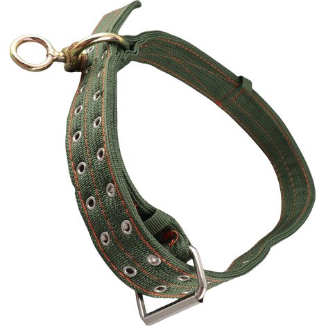 Collier pour vaches, longueur ajustable, en toile, 4 x 102 cm, pour vaches de moins de 350 kg (1/5)