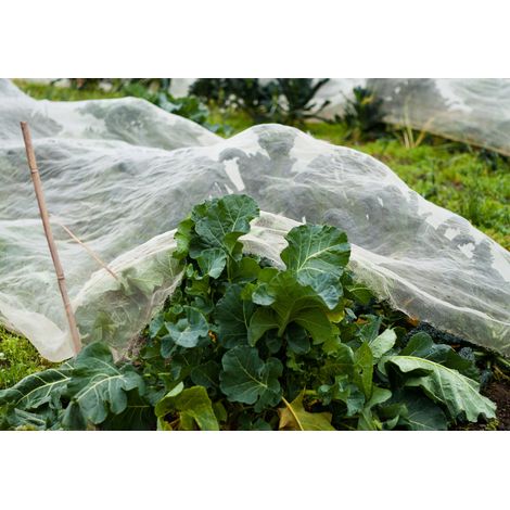 Filet anti-insectes 50gr/m² 2.1m x 10m Cristal