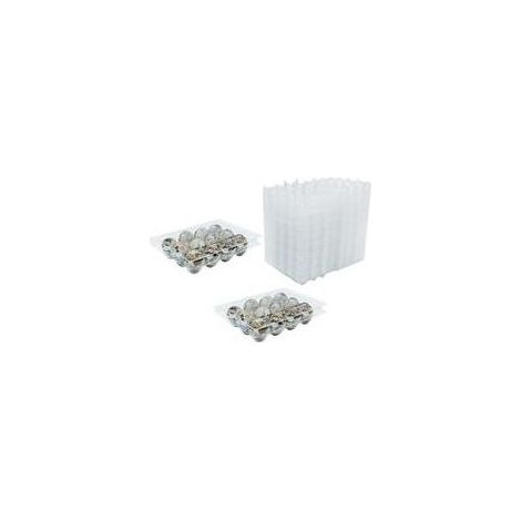 Lot de 50 boîtes à œufs de caille en PVC transparent réutilisable avec couvercle pour œufs de caille, réfrigérateur (1/5)