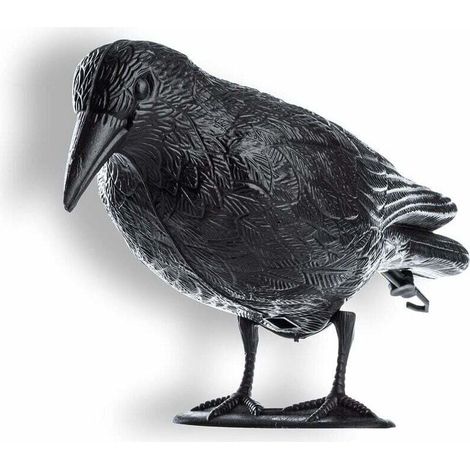 Schwarze Krähe, Taubenabwehrmittel und Plastik-Taubenabwehrmittel, Vogelabwehr, natürliche Schädlingsbekämpfung, Schutz vor lästigen Vögeln - Crezuo