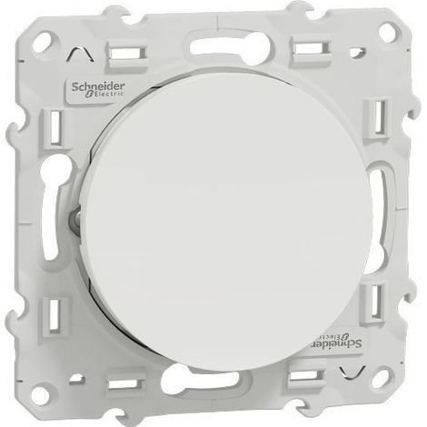 Lot de 100 va-et-vient - Blanc - Odace 2011 - S524204P - Schneider