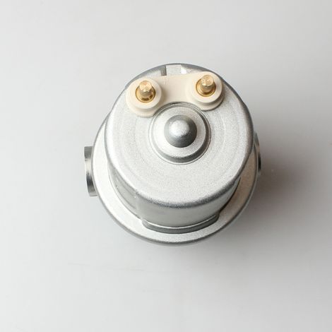 BIEMMEDUE- P4389 E84389 P4594 SP8109 818383T B0226E E16173 Elektrische Kraftstoffpumpe (1/4)