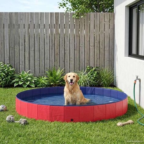 Piscine de marque Red Dog, 300 cm de diamètre, 38 cm d'épaisseur, en PVC.